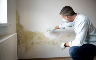 Comment isoler un mur intérieur humide ?