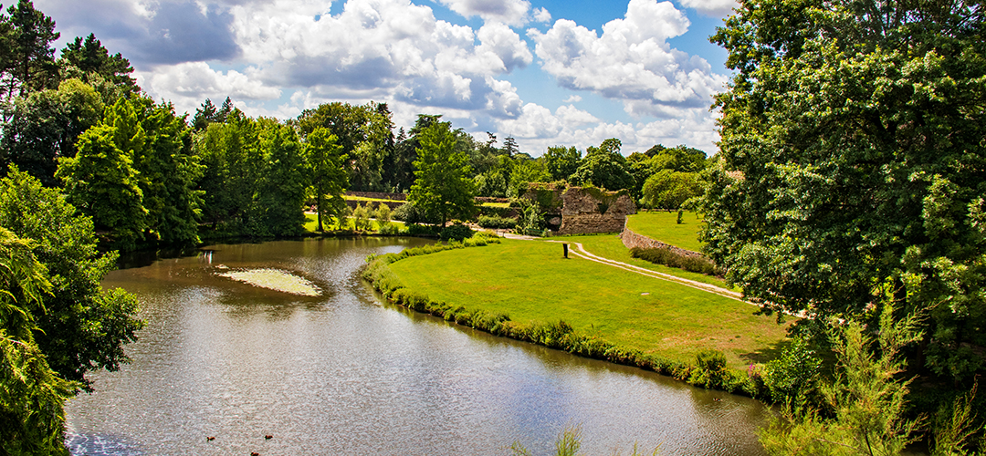 PPF-85-MONTAIGU-VENDÉE