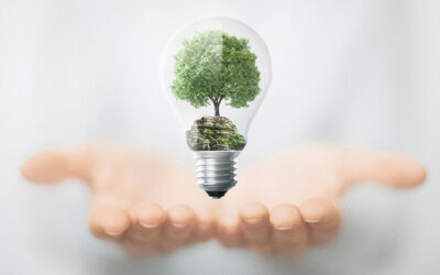 Nos 10 conseils pour devenir un éco-responsable averti – PPF