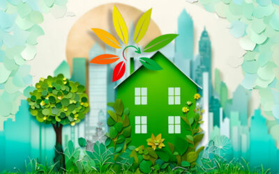 Rénovation Énergétique Globale